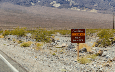 Small Businesses & Extreme Heat: A New Tool to Keep Your Team and Community Safe
